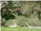4 Lots St Werburghs Road, Mount Barker WA 6324