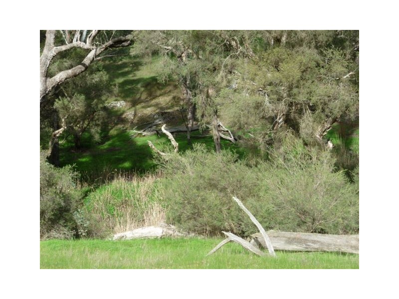 4 Lots St Werburghs Road, Mount Barker WA 6324