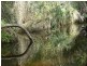 4 Lots St Werburghs Road, Mount Barker WA 6324
