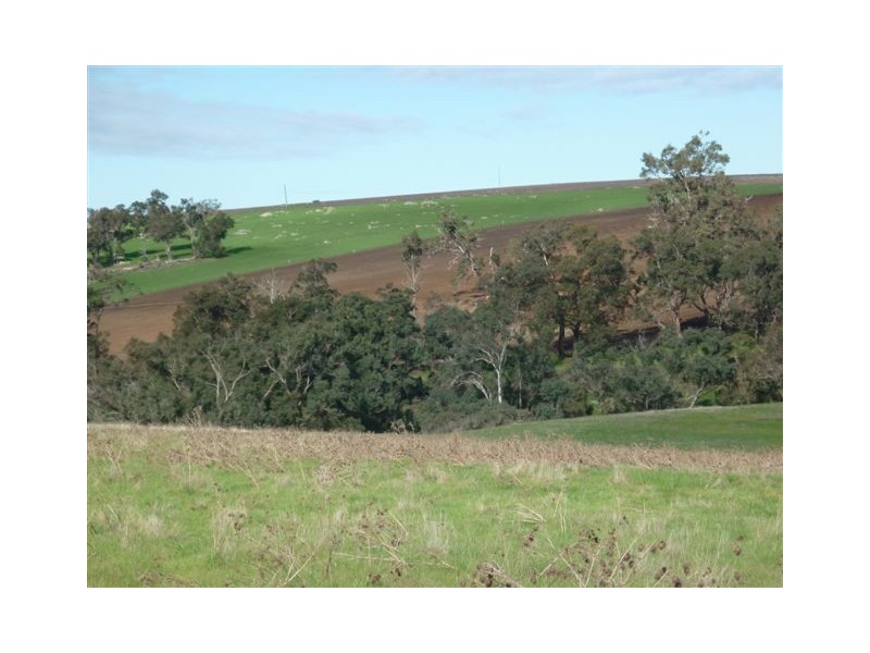 4 Lots St Werburghs Road, Mount Barker WA 6324