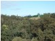 4 Lots St Werburghs Road, Mount Barker WA 6324