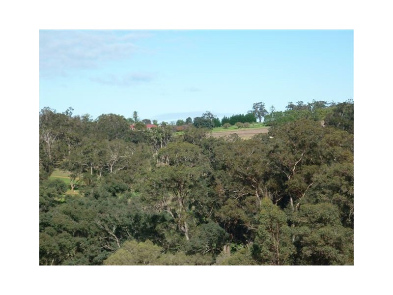 4 Lots St Werburghs Road, Mount Barker WA 6324