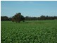 10 Lots Craddock Road, Mount Barker WA 6324