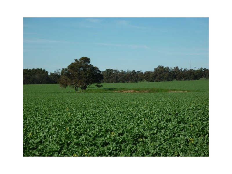 10 Lots Craddock Road, Mount Barker WA 6324