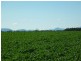 10 Lots Craddock Road, Mount Barker WA 6324