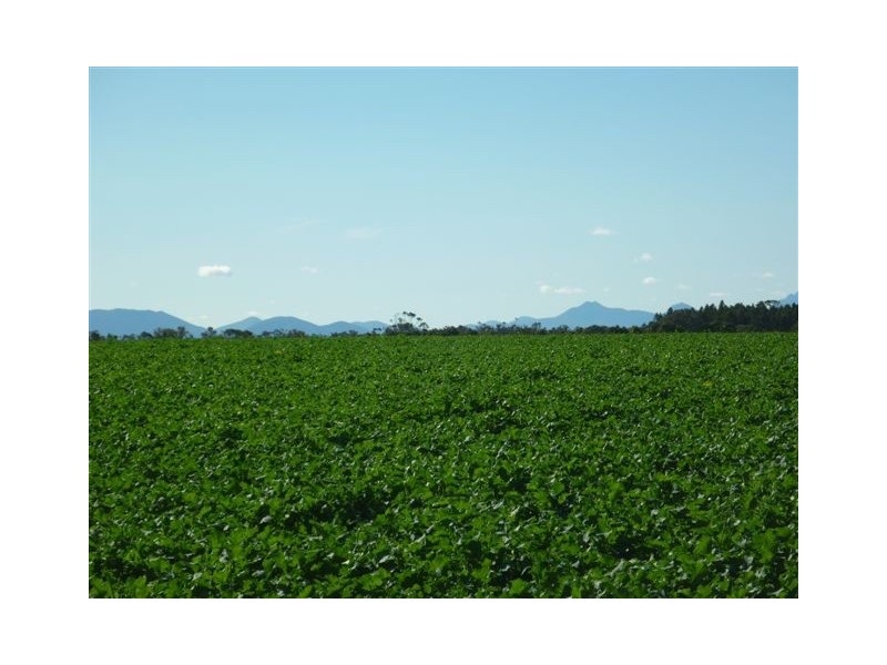 10 Lots Craddock Road, Mount Barker WA 6324
