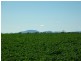 10 Lots Craddock Road, Mount Barker WA 6324