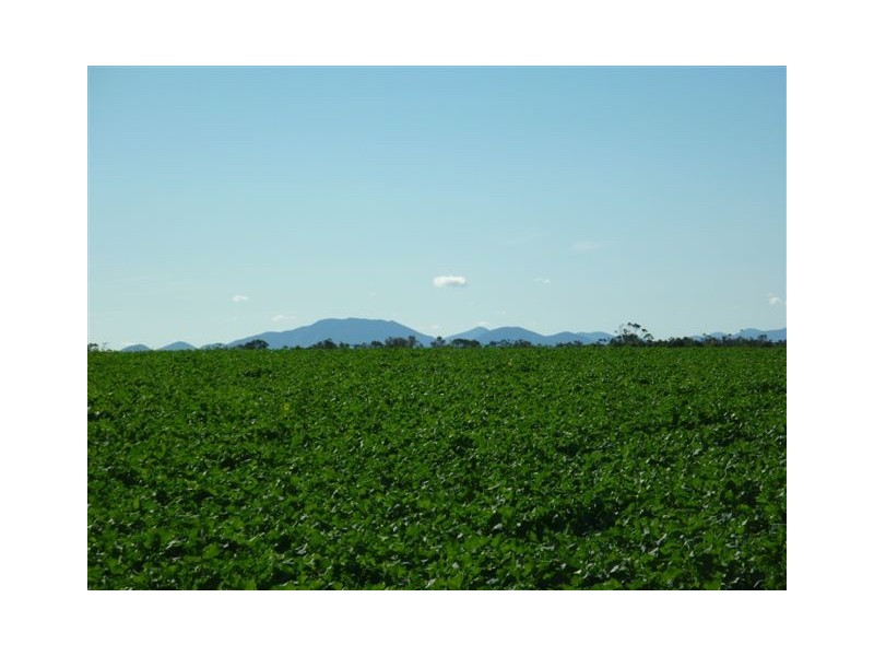 10 Lots Craddock Road, Mount Barker WA 6324