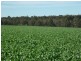 10 Lots Craddock Road, Mount Barker WA 6324