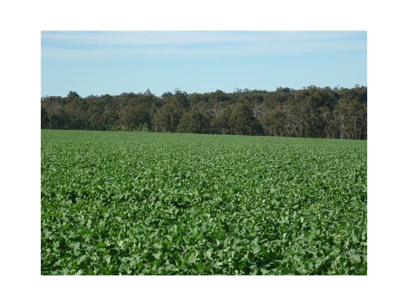 10 Lots Craddock Road, Mount Barker WA 6324