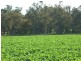 10 Lots Craddock Road, Mount Barker WA 6324