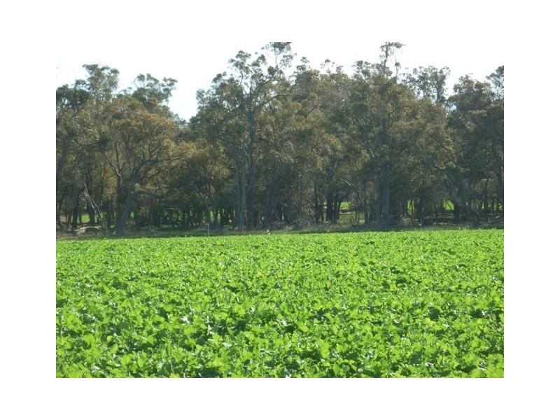 10 Lots Craddock Road, Mount Barker WA 6324