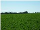 10 Lots Craddock Road, Mount Barker WA 6324