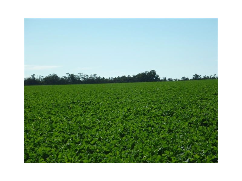 10 Lots Craddock Road, Mount Barker WA 6324