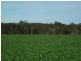 10 Lots Craddock Road, Mount Barker WA 6324