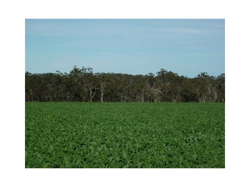 10 Lots Craddock Road, Mount Barker WA 6324