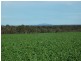 10 Lots Craddock Road, Mount Barker WA 6324
