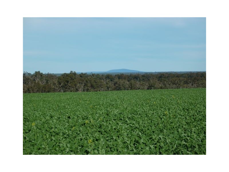 10 Lots Craddock Road, Mount Barker WA 6324