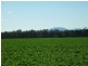 10 Lots Craddock Road, Mount Barker WA 6324