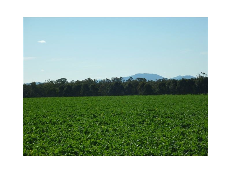 10 Lots Craddock Road, Mount Barker WA 6324