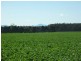 10 Lots Craddock Road, Mount Barker WA 6324