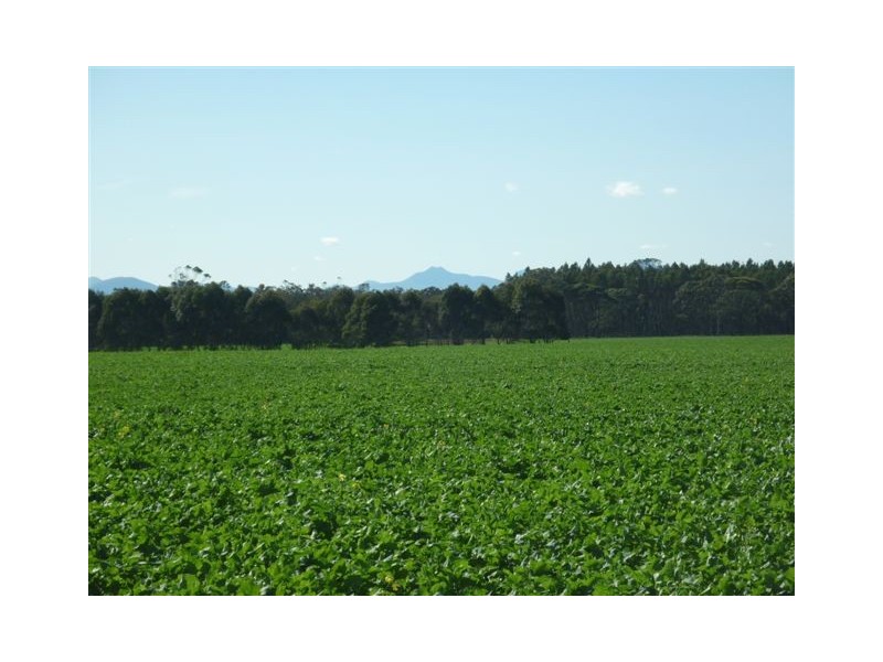 10 Lots Craddock Road, Mount Barker WA 6324