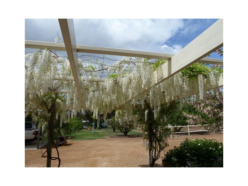 Lot 151 Athelton Street, Mount Barker WA 6324