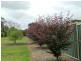 Lot 151 Athelton Street, Mount Barker WA 6324