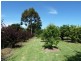 Lot 151 Athelton Street, Mount Barker WA 6324