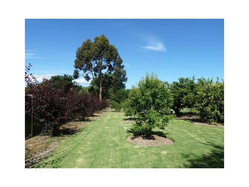Lot 151 Athelton Street, Mount Barker WA 6324