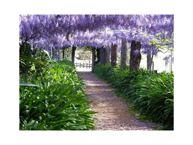 160 Porongurup Road, Mount Barker WA 6324