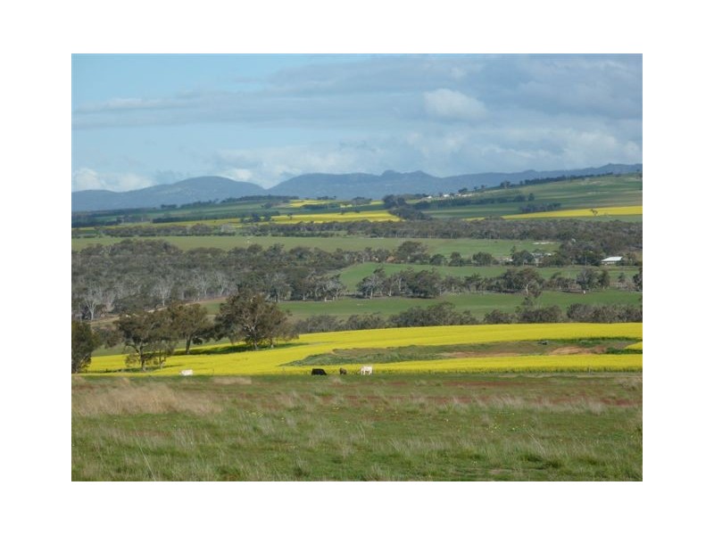 Loc 2596 North Woogenellup Road, Mount Barker WA 6324