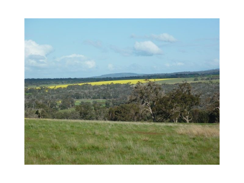 Loc 2596 North Woogenellup Road, Mount Barker WA 6324