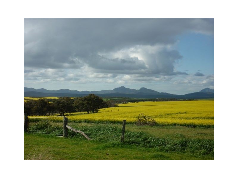 2051 North Woogenellup Road, Mount Barker WA 6324