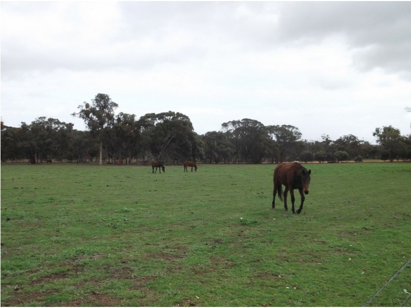 Lot 885 Collins Road, Kendenup WA 6323