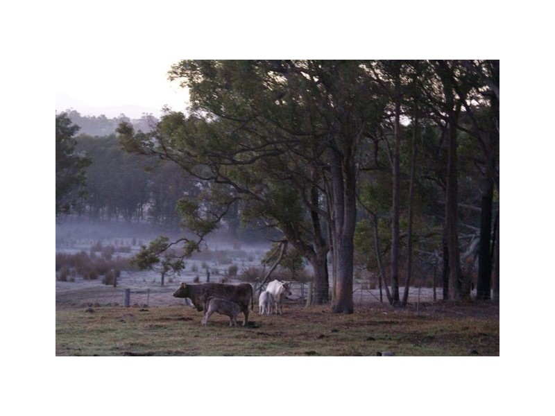 Lot 202 Marmion Street, Mount Barker WA 6324