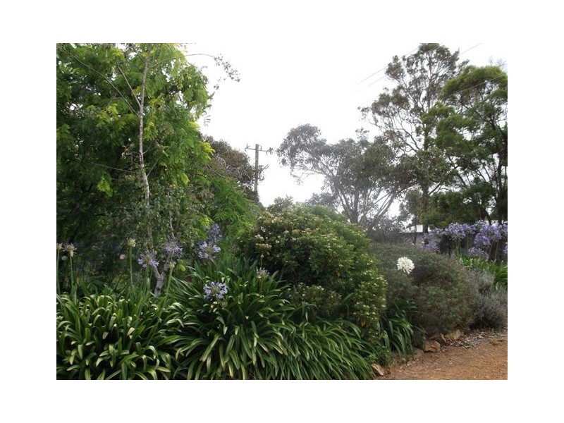 Lot 202 Marmion Street, Mount Barker WA 6324