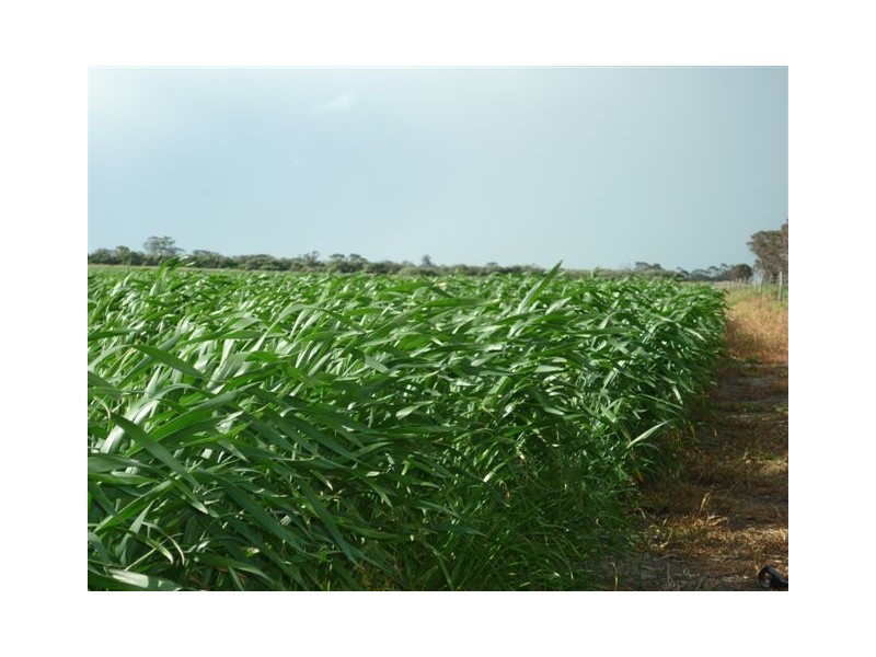 175 Mongerup South Road, Borden WA 6338