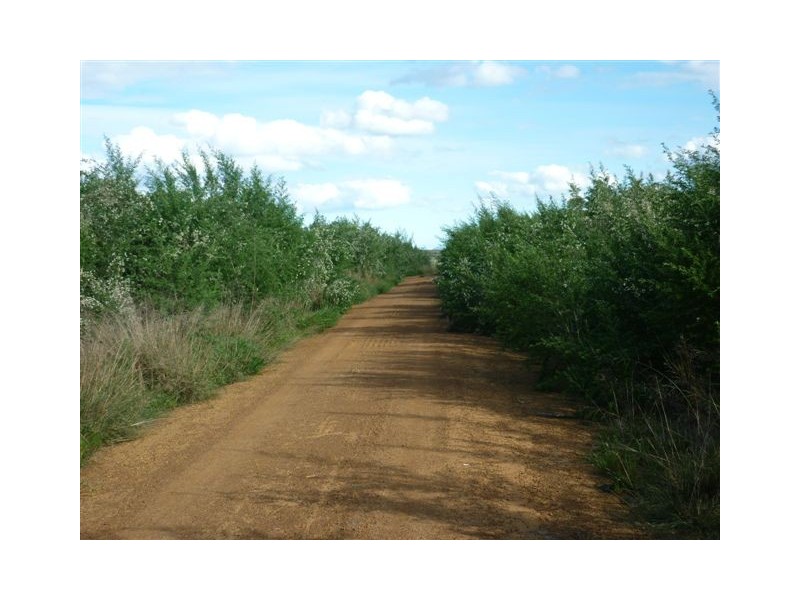 1453 Pheiffer Road, Manypeaks WA 6328