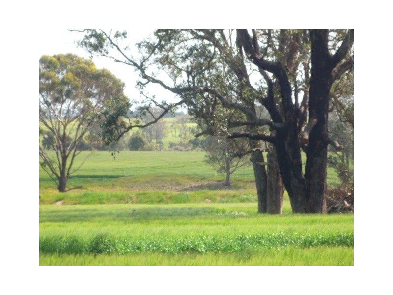 Lot 414 Gough Road, Mount Barker WA 6324