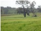 Lot 414 Gough Road, Mount Barker WA 6324