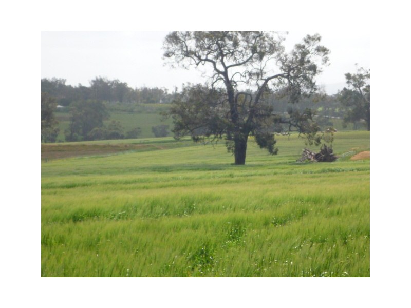 Lot 414 Gough Road, Mount Barker WA 6324