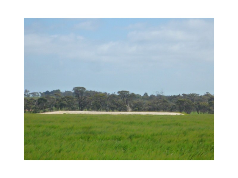 131 + 145 Martigallup Road, Kendenup WA 6323