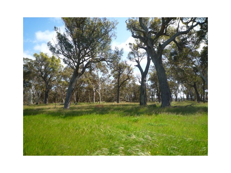 131 + 145 Martigallup Road, Kendenup WA 6323