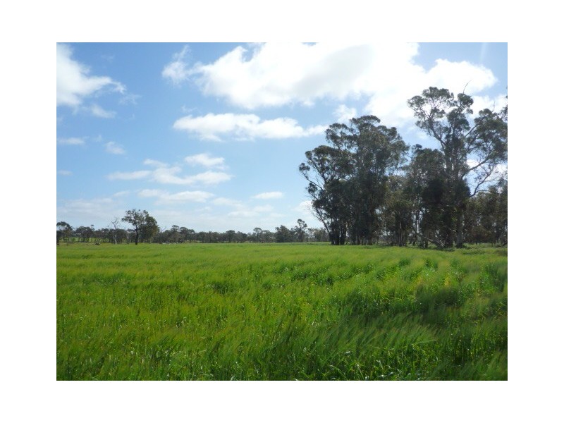 131 + 145 Martigallup Road, Kendenup WA 6323