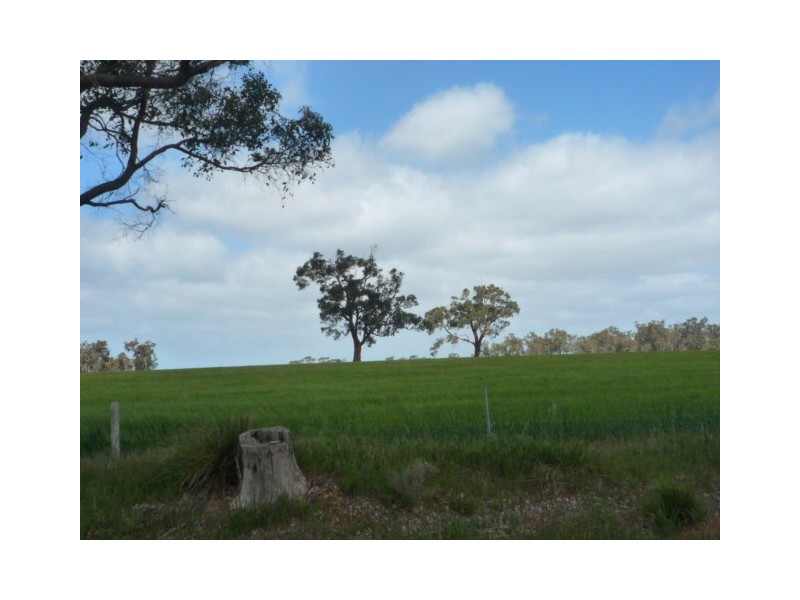 131 + 145 Martigallup Road, Kendenup WA 6323