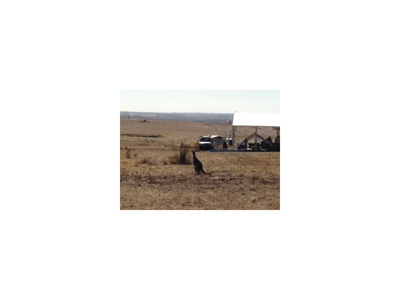 Lot 21 Scott Road, Mount Barker WA 6324