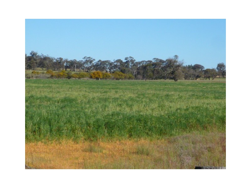 Lot 26 Albany Highway, Tenterden WA 6322