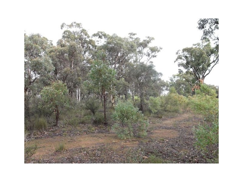 Lot 294, 55 Second Avenue, Kendenup WA 6323
