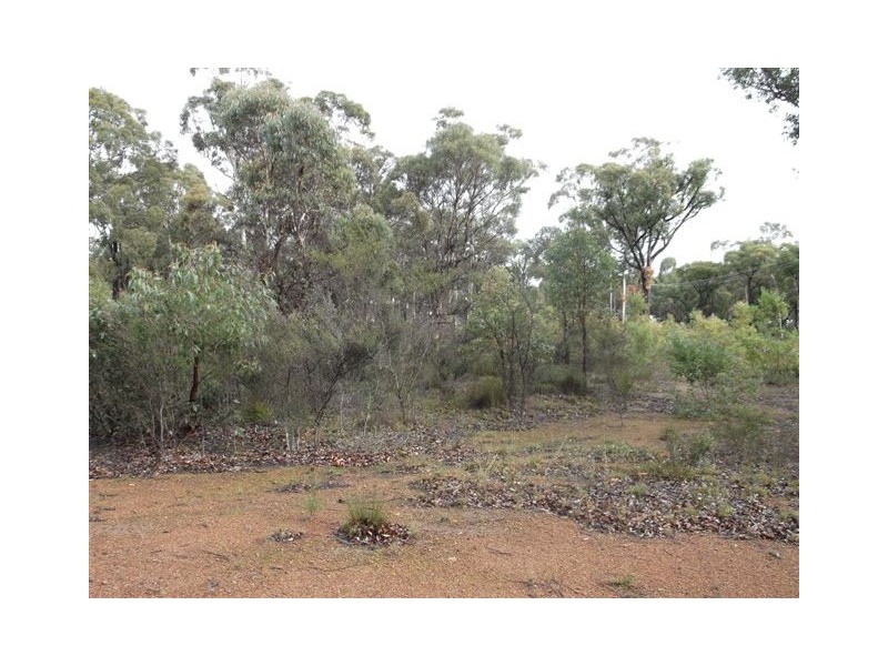 Lot 294, 55 Second Avenue, Kendenup WA 6323